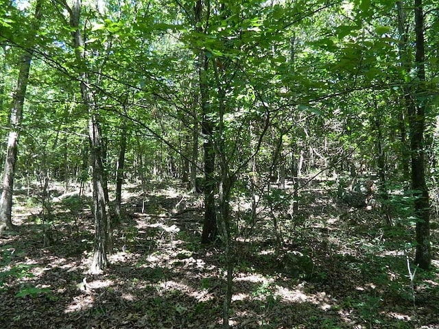 13184 Cove Crk, Prairie Grove, AR 72753 - photo 4