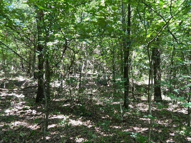 13184 Cove Crk, Prairie Grove, AR 72753 - photo 5