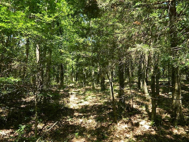 13184 Cove Crk, Prairie Grove, AR 72753 - photo 6