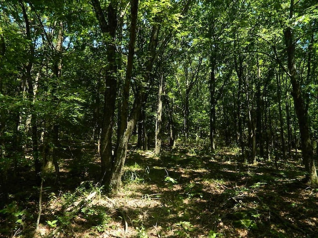 13184 Cove Crk, Prairie Grove, AR 72753 - photo 7