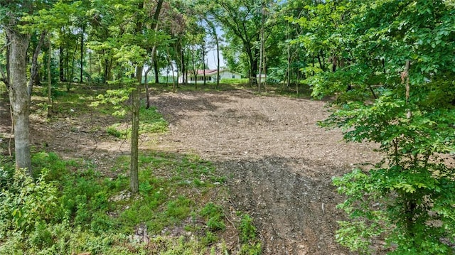 Bozarth Cemetery Rd, Gentry, AR 72734 - photo 3