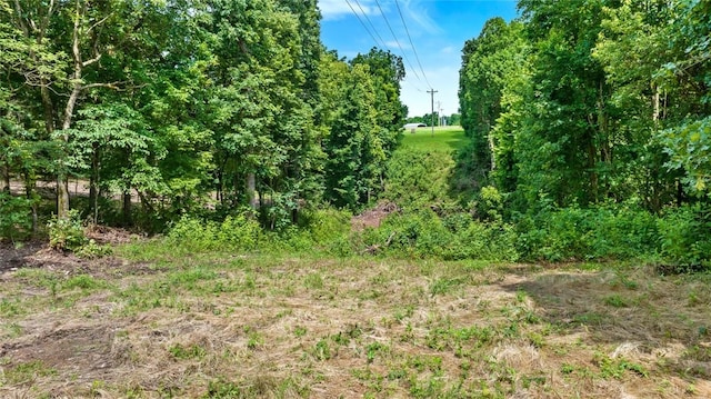 Bozarth Cemetery Rd, Gentry, AR 72734 - photo 4