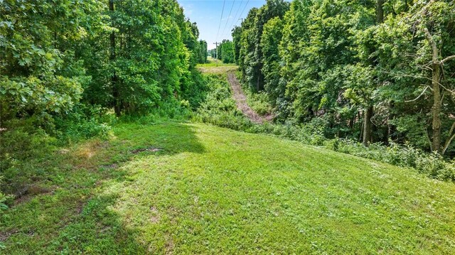 Bozarth Cemetery Rd, Gentry, AR 72734 - photo 5