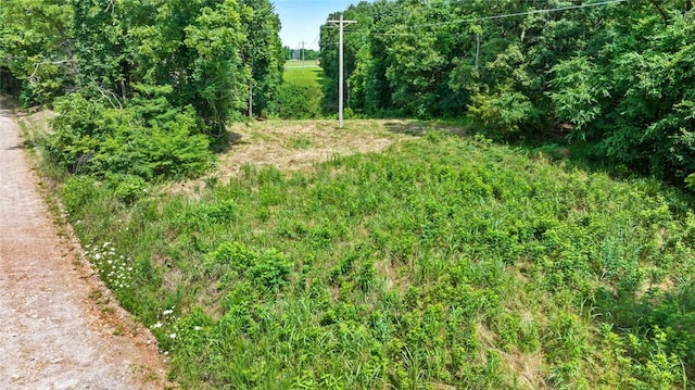Bozarth Cemetery Rd, Gentry, AR 72734 - photo 6