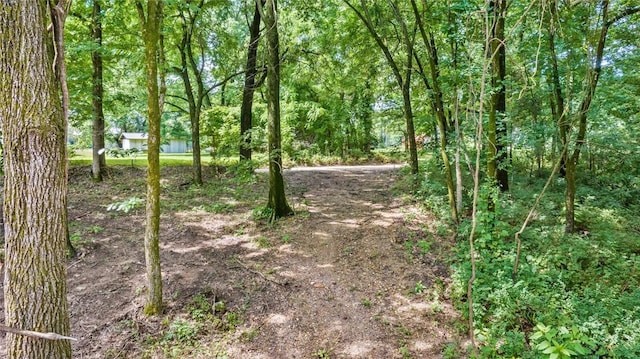 Bozarth Cemetery Rd, Gentry, AR 72734 - photo 10