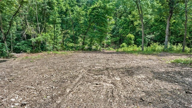 Bozarth Cemetery Rd, Gentry, AR 72734 - photo 11