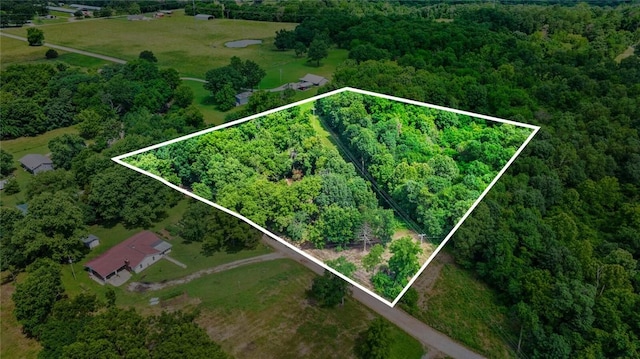 Bozarth Cemetery Rd, Gentry, AR 72734 - photo 14