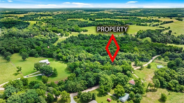 Bozarth Cemetery Rd, Gentry, AR 72734 - photo 20
