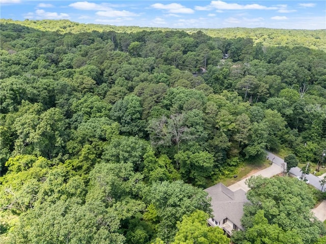 Grisham Dr, Bella Vista, AR 72714 - photo 7