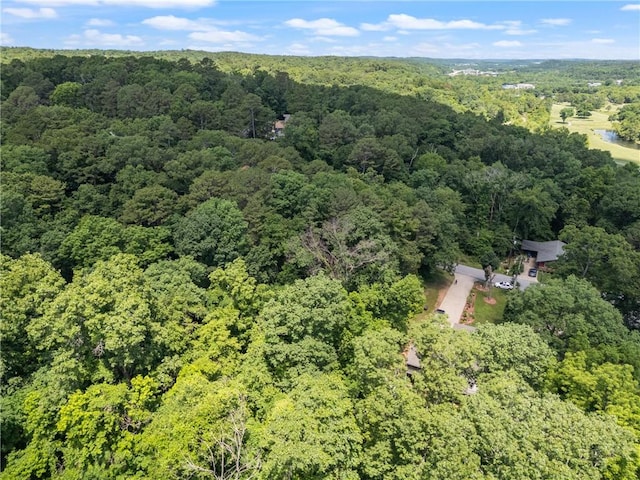 Grisham Dr, Bella Vista, AR 72714 - photo 8