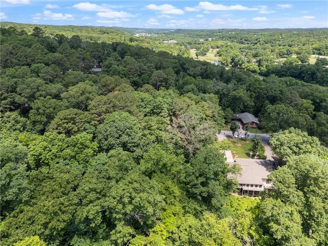 Grisham Dr, Bella Vista, AR 72714 - photo 9