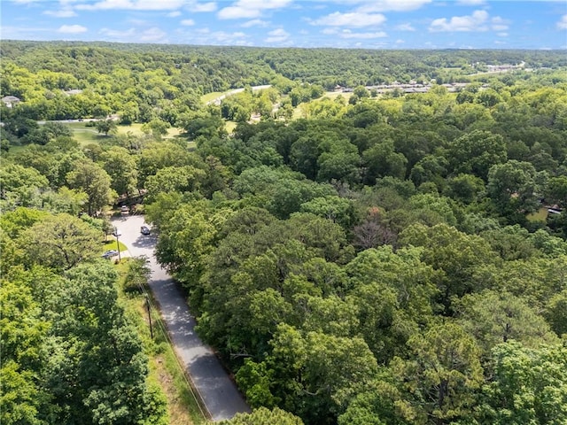 Grisham Dr, Bella Vista, AR 72714 - photo 11