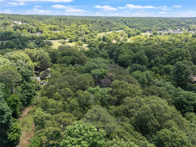 Grisham Dr, Bella Vista, AR 72714 - photo 12