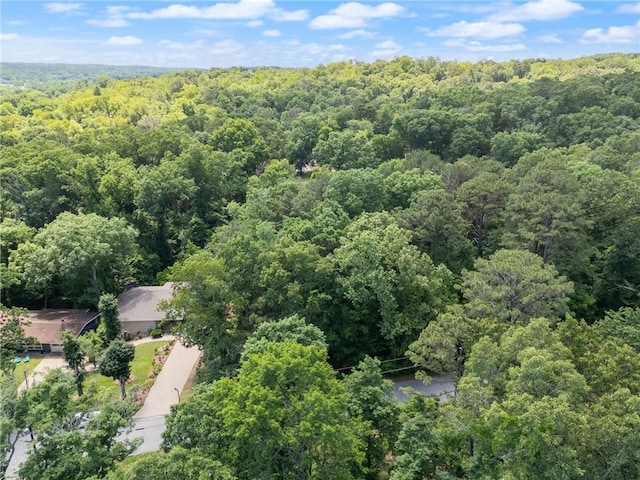 Grisham Dr, Bella Vista, AR 72714 - photo 13