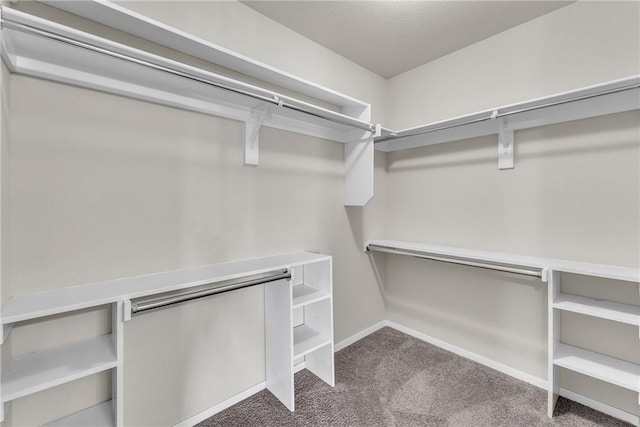 2304 Maplewood Dr, Lowell, AR 72745 - spacious closet with carpet flooring