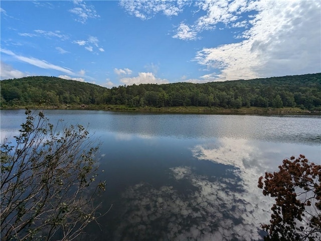 TBD Mayhand Rd, Shirley, AR 72153