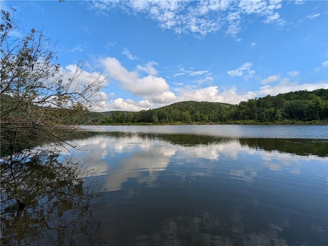 TBD Mayhand Rd, Shirley, AR 72153