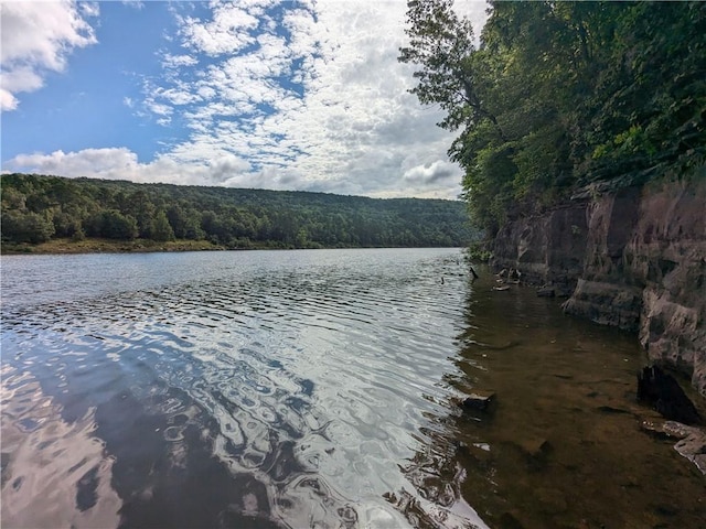 TBD Mayhand Rd, Shirley, AR 72153