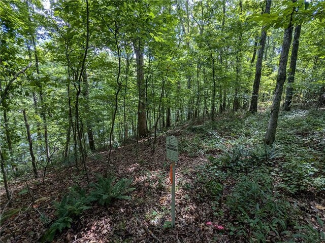 TBD Mayhand Rd, Shirley, AR 72153
