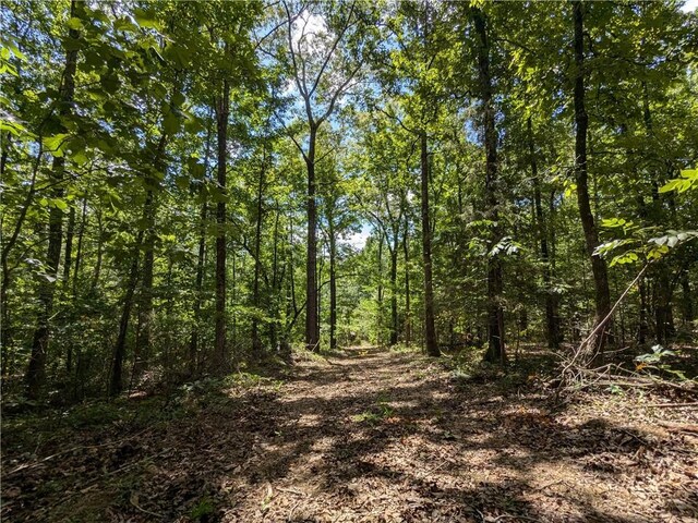 TBD Mayhand Rd, Shirley, AR 72153