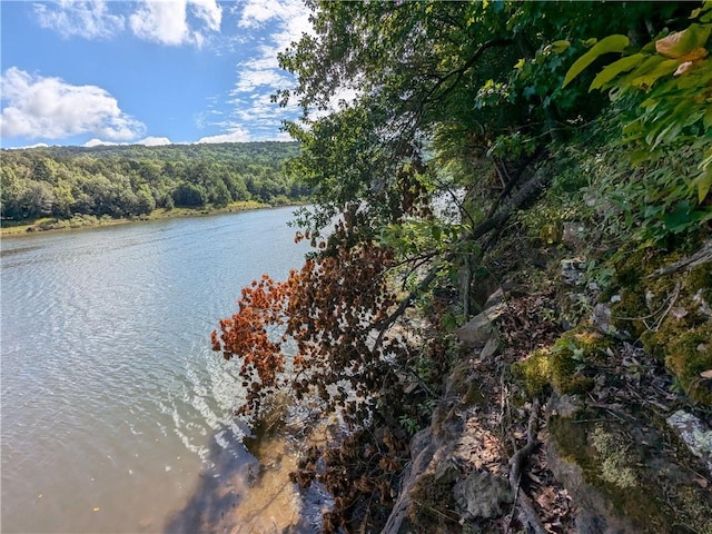 TBD Mayhand Rd, Shirley, AR 72153