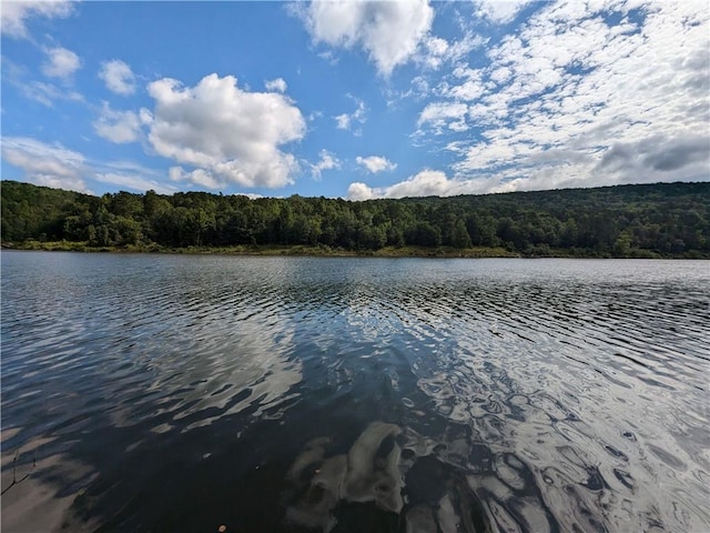 TBD Mayhand Rd, Shirley, AR 72153