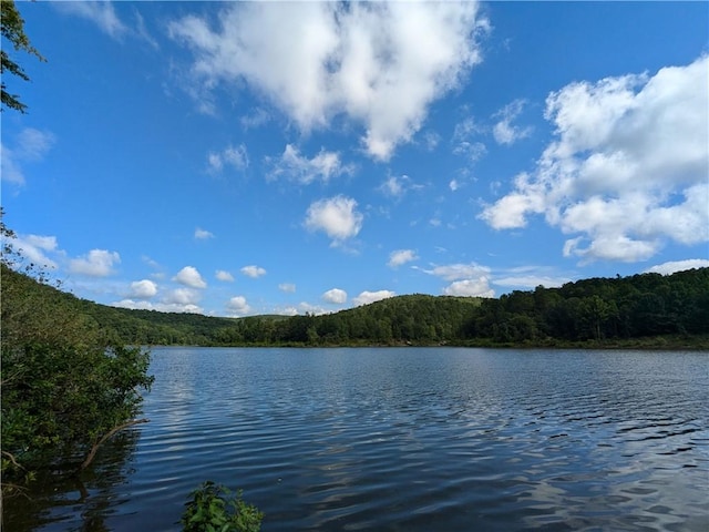 TBD Mayhand Rd, Shirley, AR 72153