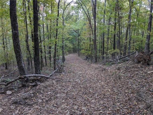 TBD Mayhand Rd, Shirley, AR 72153
