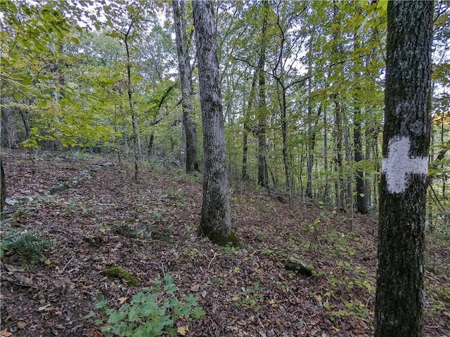 TBD Mayhand Rd, Shirley, AR 72153