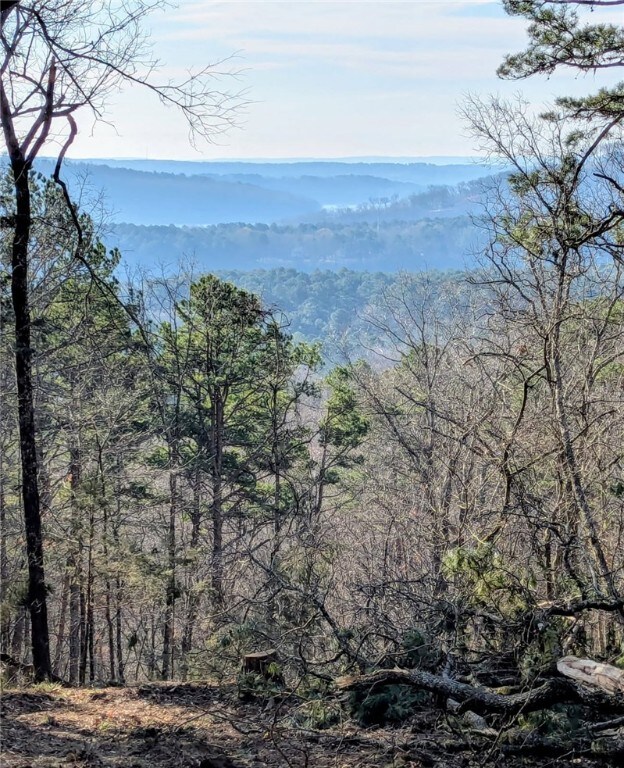 TBD Mayhand Rd, Shirley, AR 72153