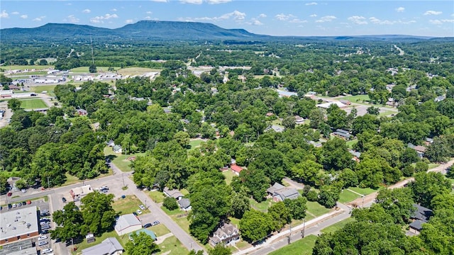 601 N Front St, Dardanelle, AR 72834 - photo 47