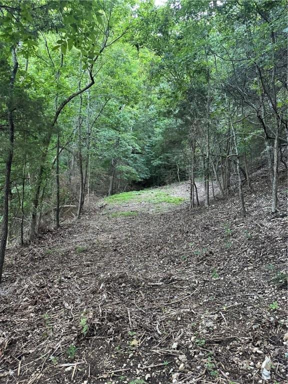 TBD Cr 1524, Eureka Springs, AR 72632