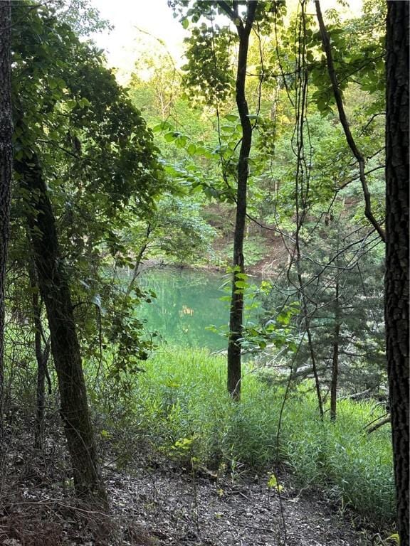 TBD Cr 1524, Eureka Springs, AR 72632