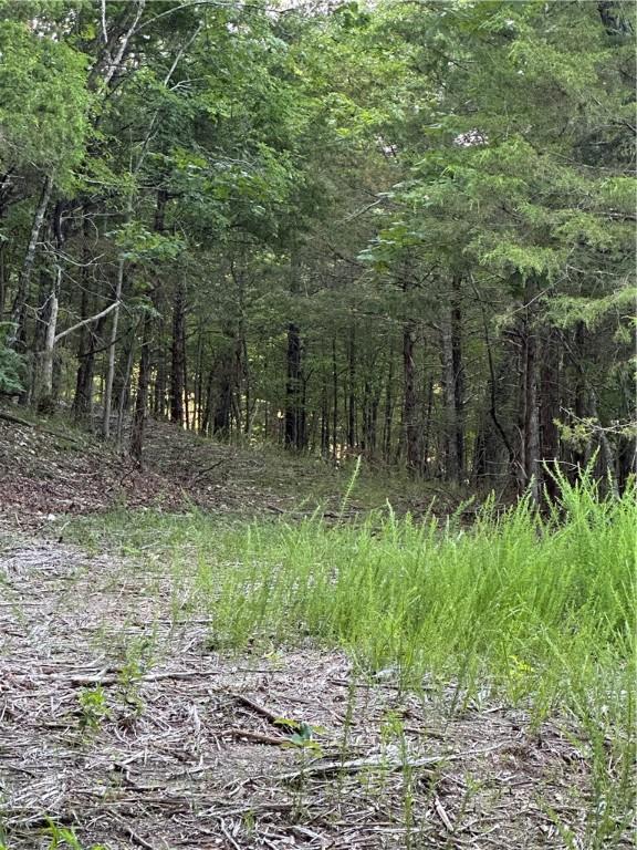 TBD Cr 1524, Eureka Springs, AR 72632