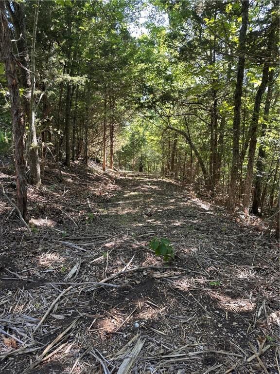TBD Cr 1524, Eureka Springs, AR 72632