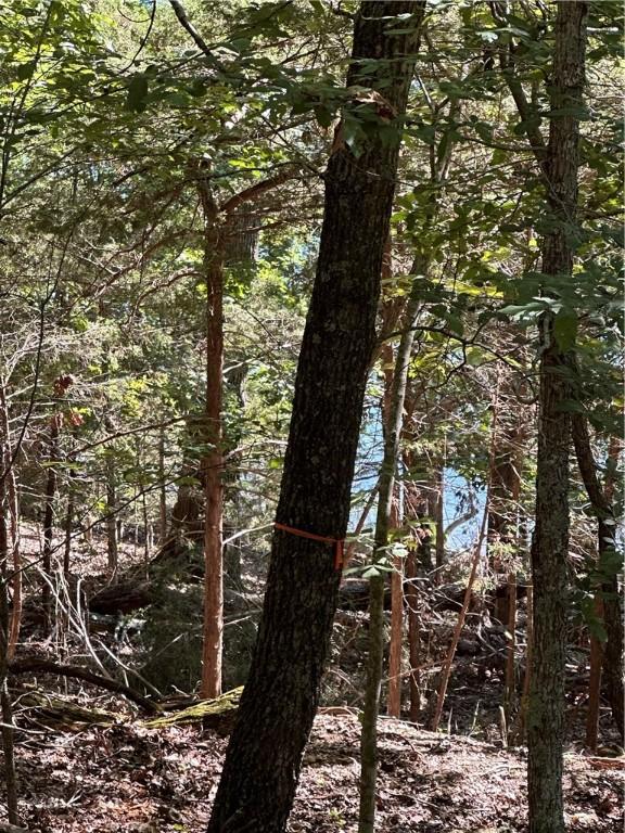 TBD Cr 1524, Eureka Springs, AR 72632