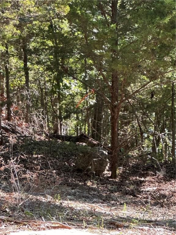 TBD Cr 1524, Eureka Springs, AR 72632