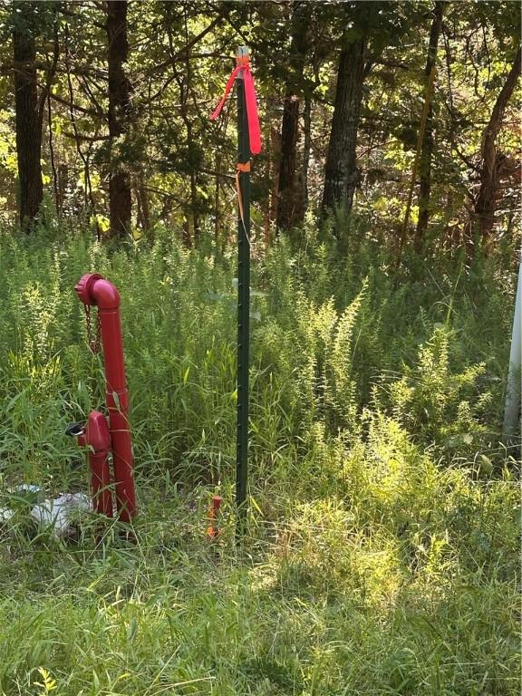 TBD Cr 1524, Eureka Springs, AR 72632
