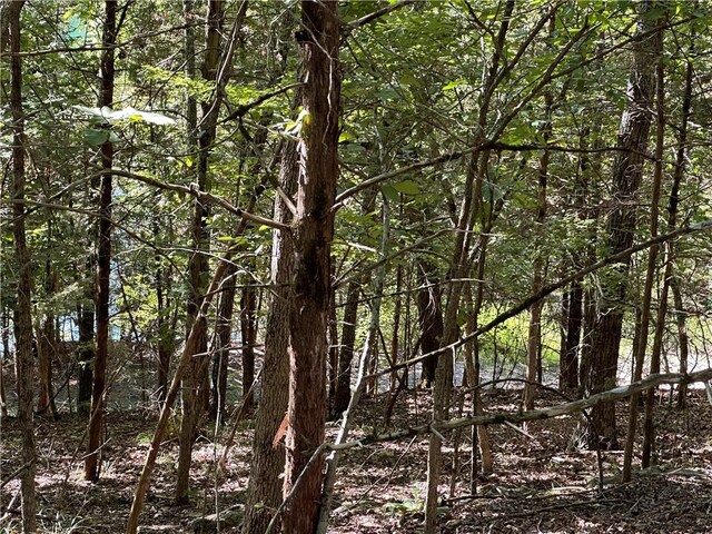 TBD Cr 1524, Eureka Springs, AR 72632