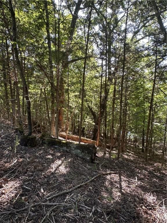 TBD Cr 1524, Eureka Springs, AR 72632