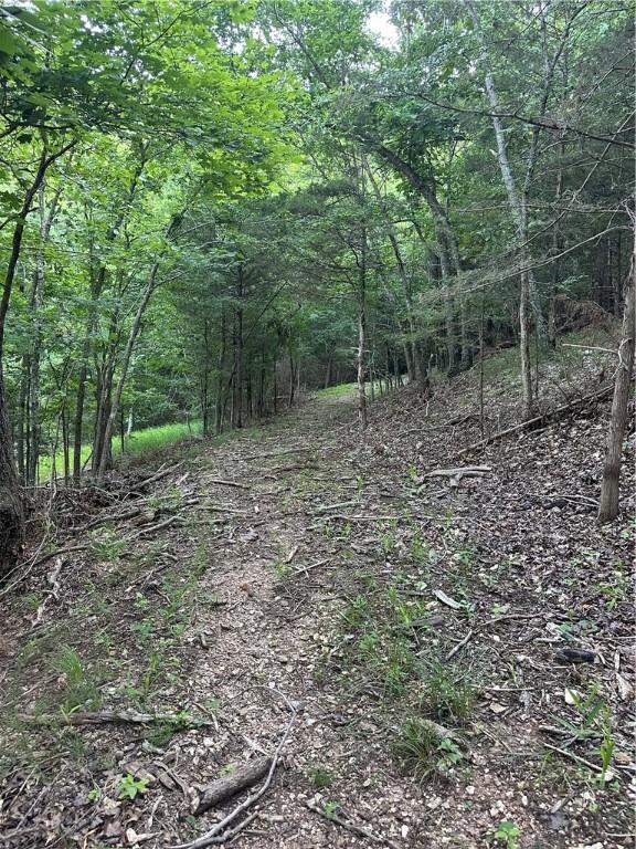 TBD Cr 1524, Eureka Springs, AR 72632