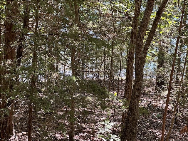 TBD Cr 1524, Eureka Springs, AR 72632