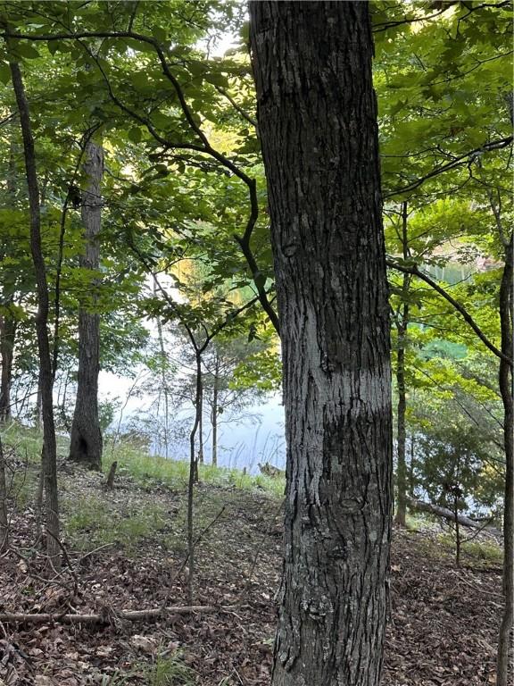 TBD Cr 1524, Eureka Springs, AR 72632