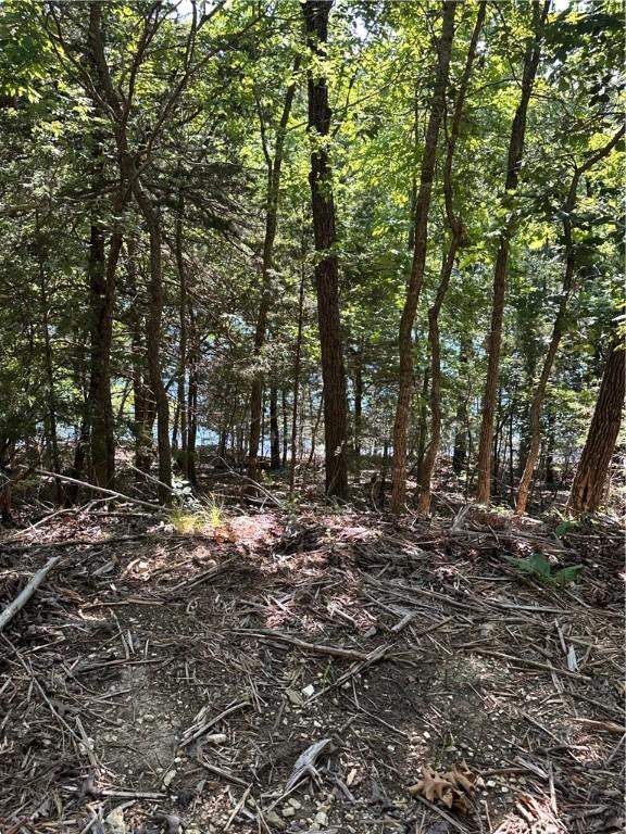 TBD Cr 1524, Eureka Springs, AR 72632