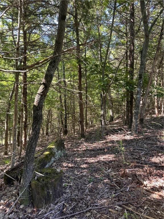 TBD Cr 1524, Eureka Springs, AR 72632
