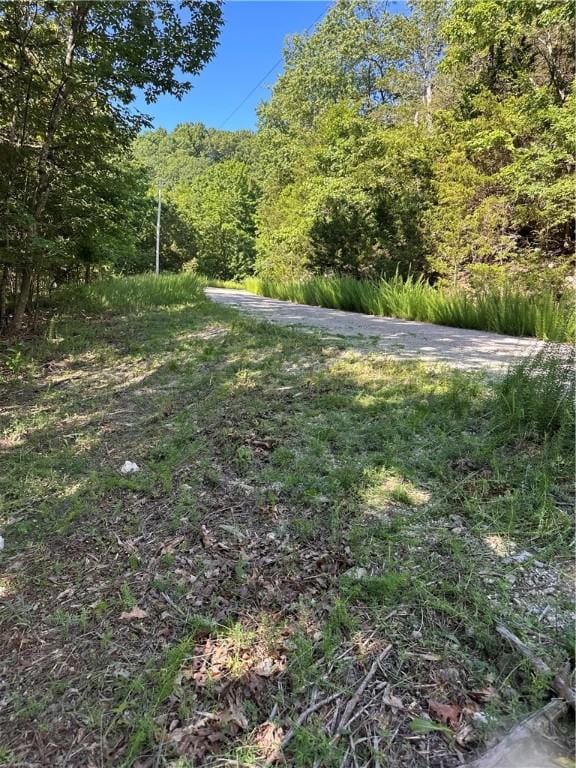 TBD Cr 1524, Eureka Springs, AR 72632