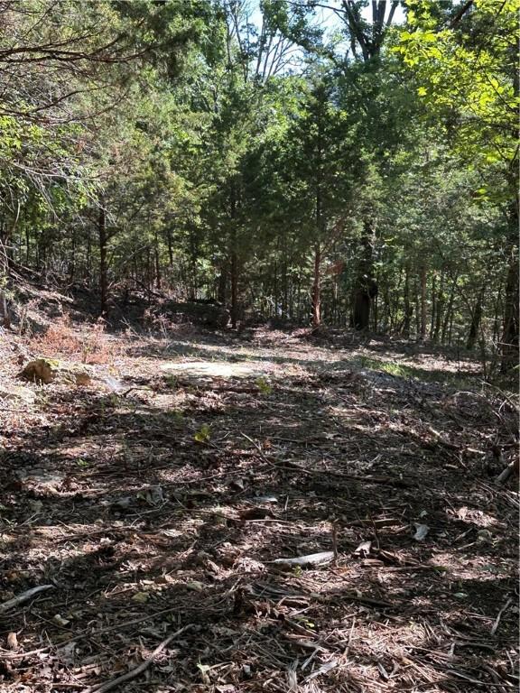 TBD Cr 1524, Eureka Springs, AR 72632