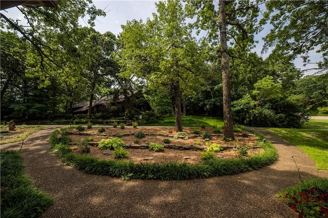 1534 E Century Dr, Fayetteville, AR 72703 - photo 3