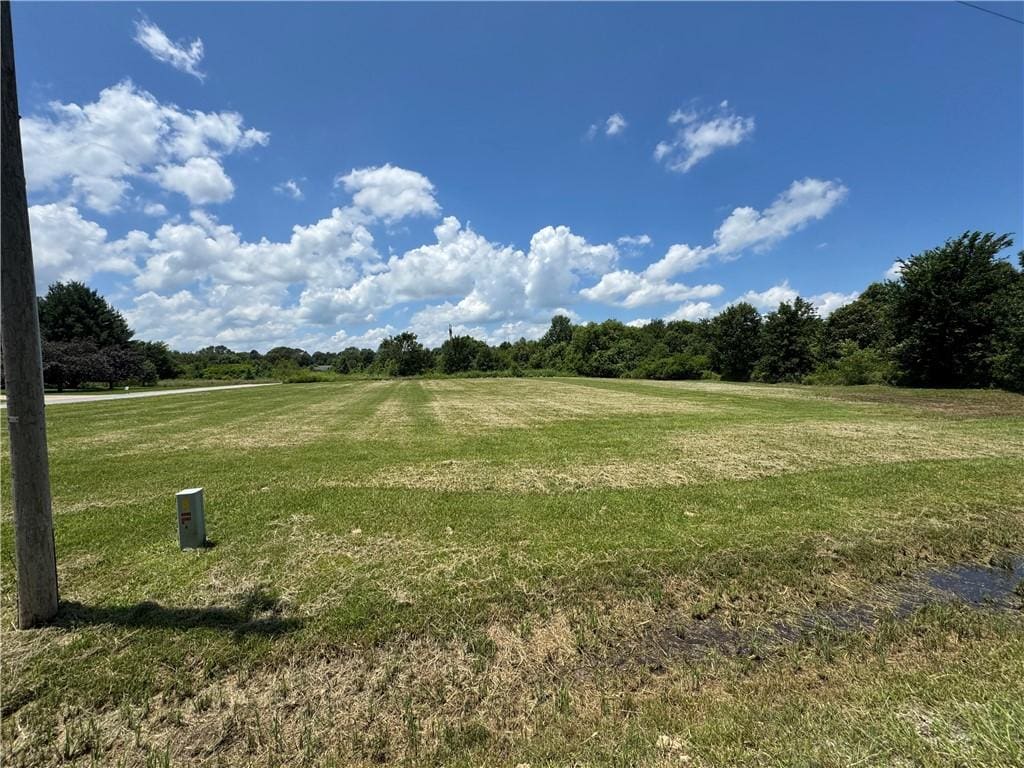 Meadow St, Siloam Springs, AR 72761 - photo 3