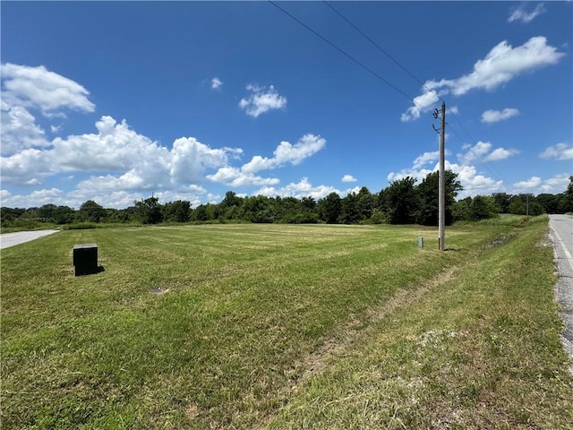 Meadow St, Siloam Springs, AR 72761 - photo 4